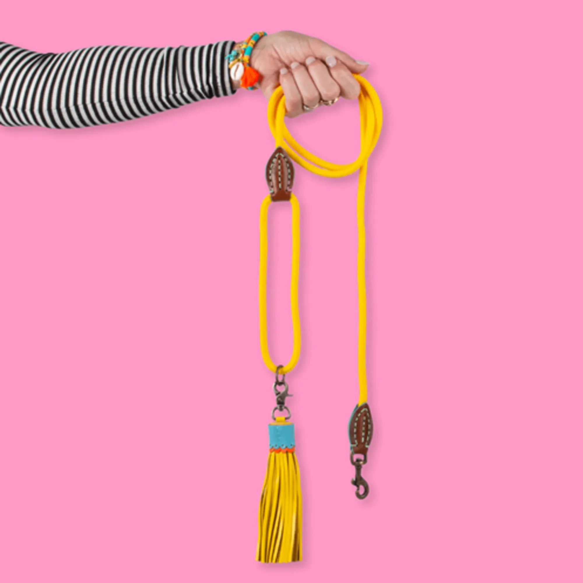 Dog Leash Sunny